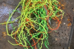 2024-Skischleifen-0290